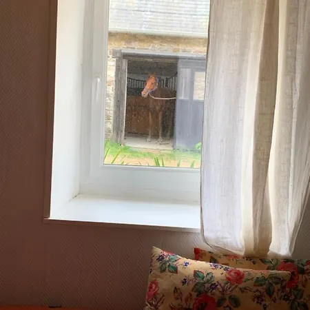 Le 44 *